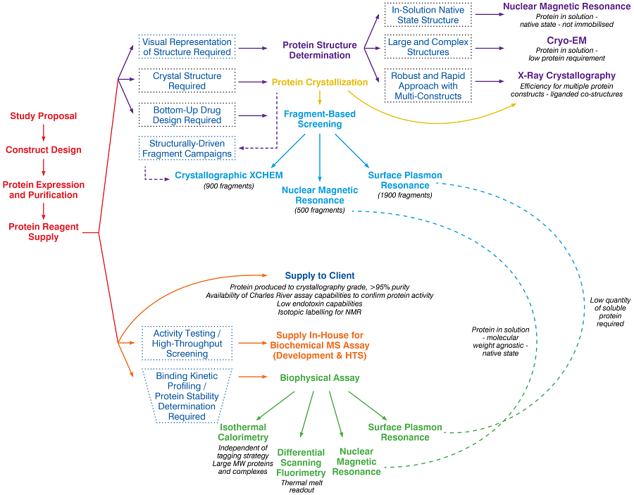 Infographic demonstrating the decision-making and workflow process for protein structure determination.