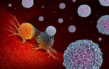 Cells, tumor cell