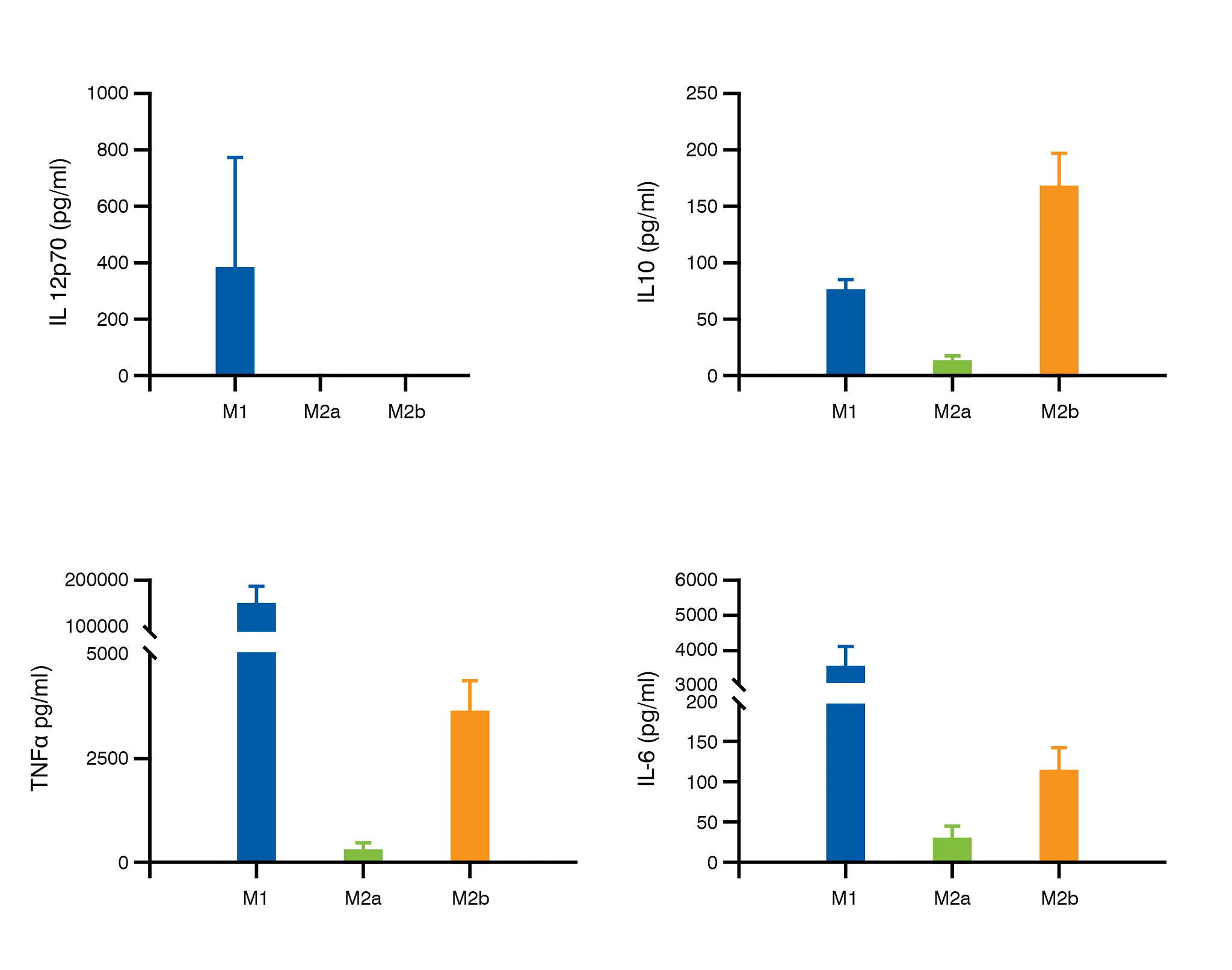 Schema of cytokine profile of polarized macrophages.