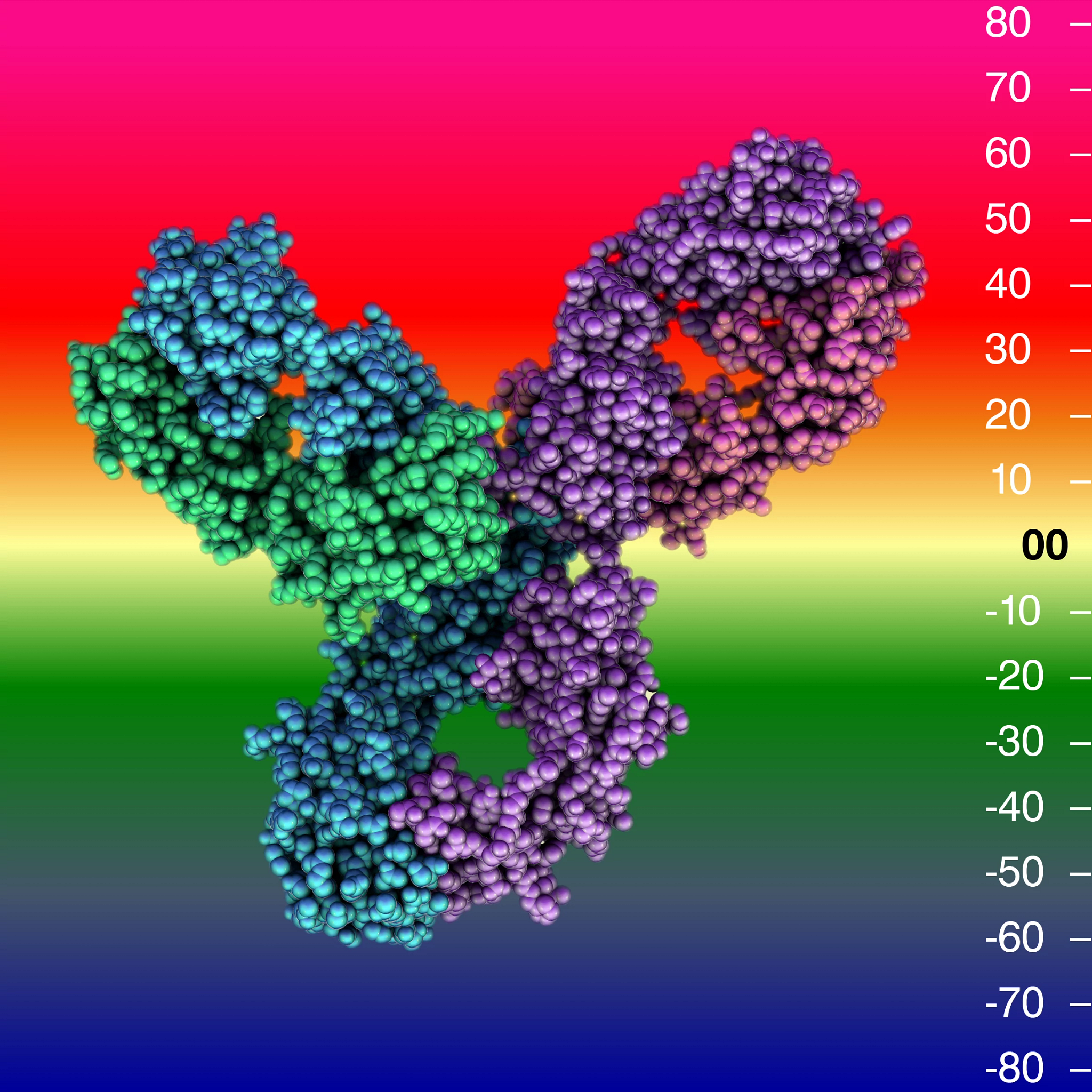 Which Areas of an Antibody Determine Specificity-Immunology Insights