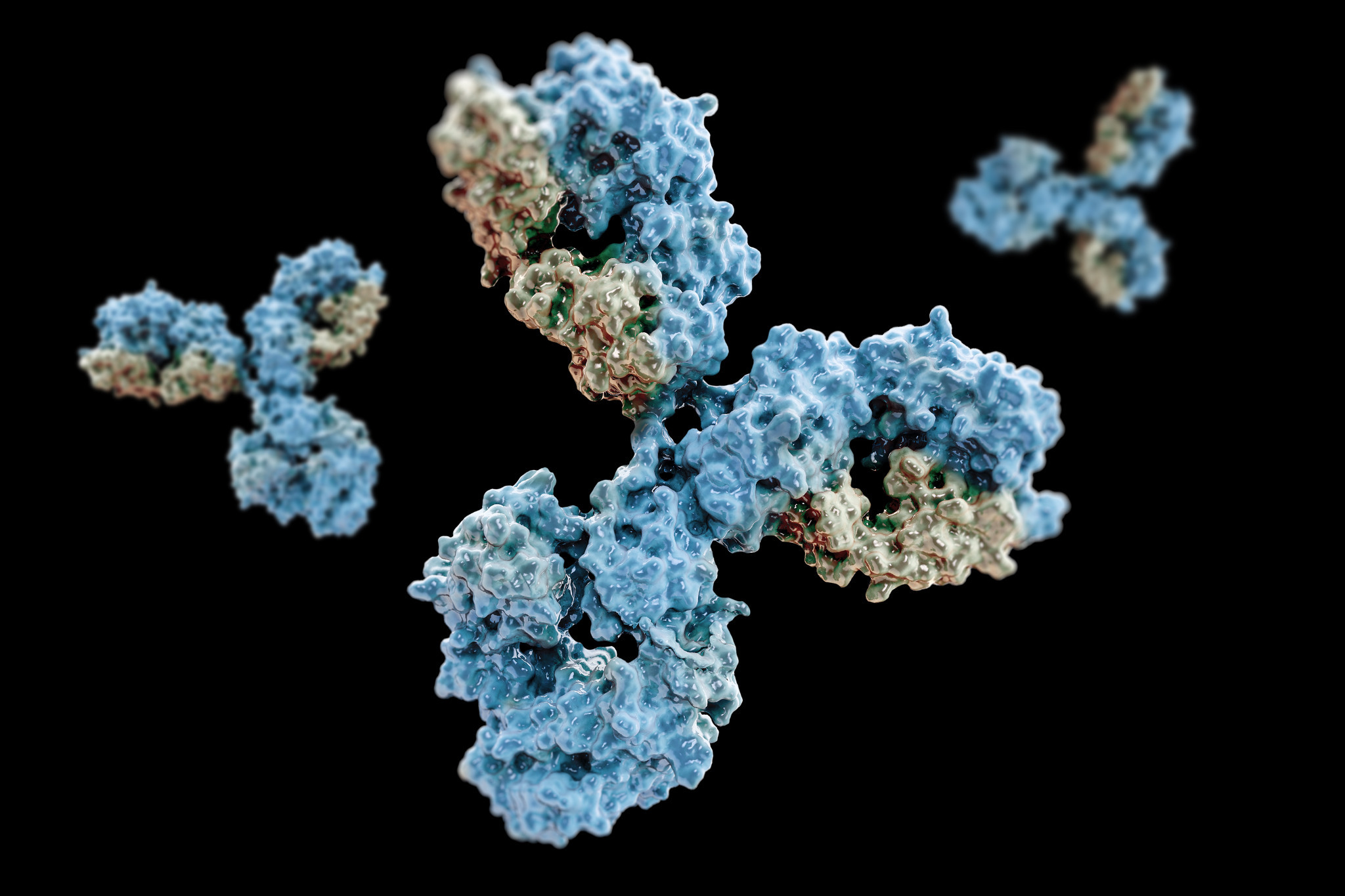 antibodies