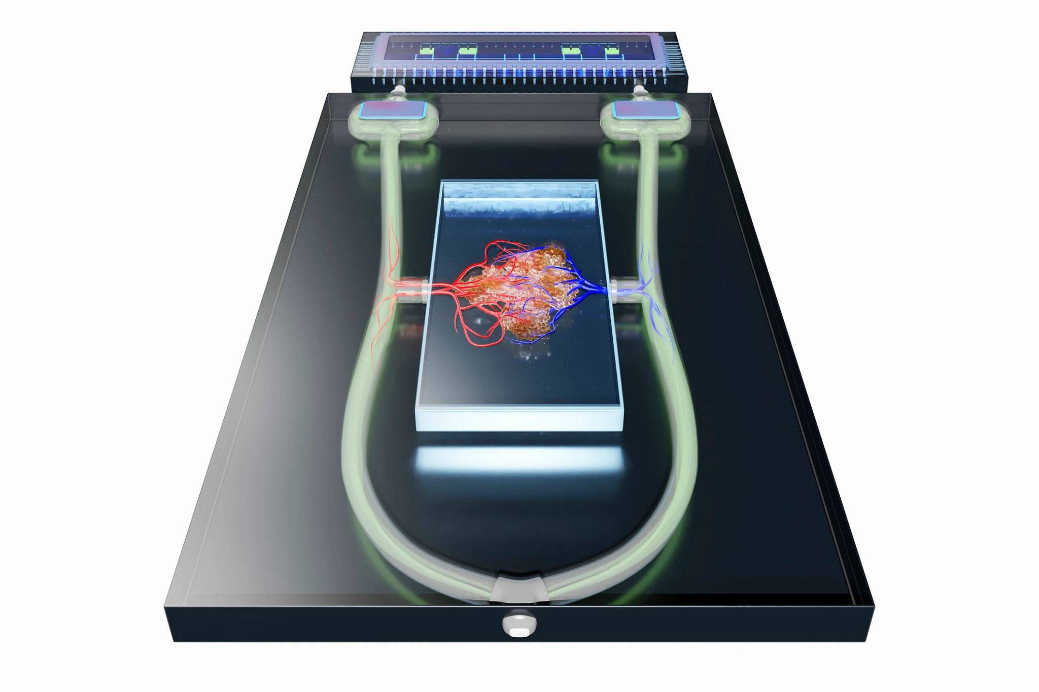 GettyImages-1369915141 (3).jpg