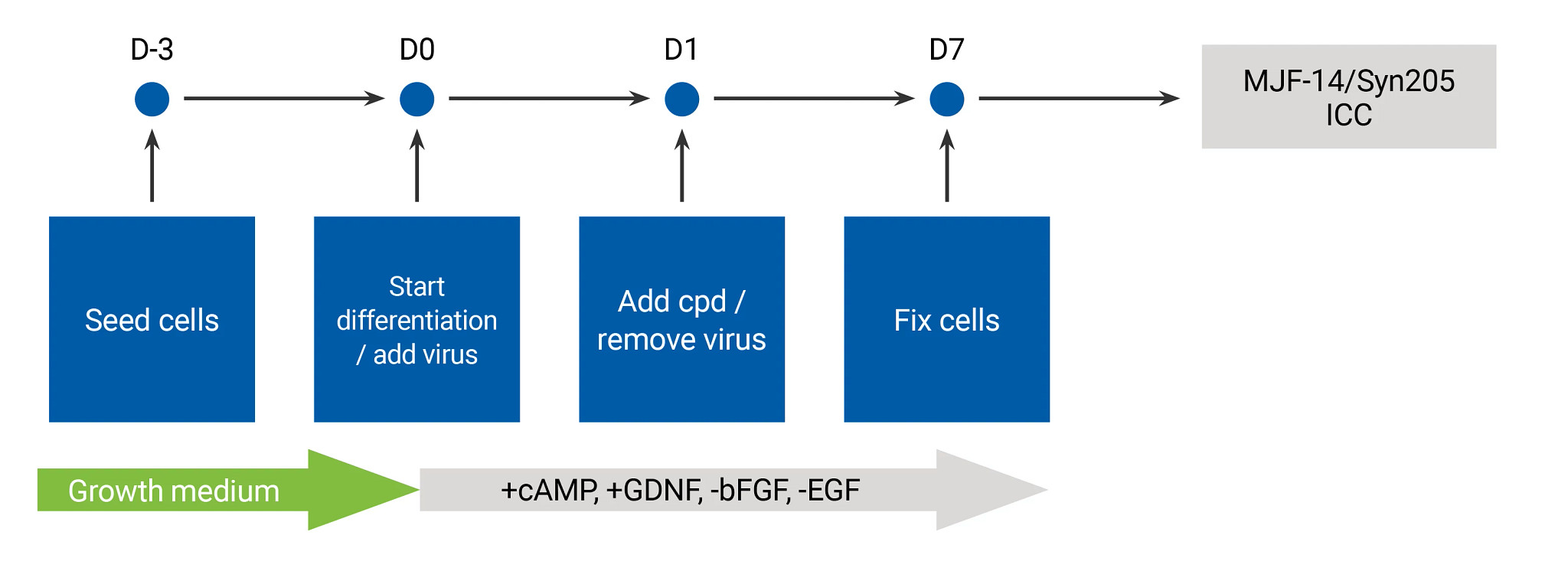 α-Synuclein Aggregation in Treatment of Parkinson's Disease