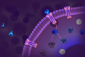 Ligand receptor and cytokine release