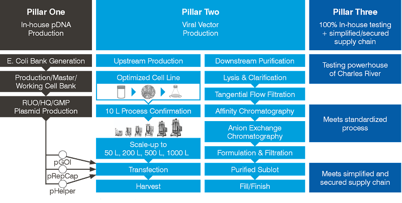 The three pillars of Charles River’s AAV production platform including in-house pDNA production, predictable AAV production services, and in-house testing to reduce time to clinic and simplify supply chains.