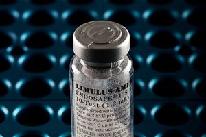 Vials of kinetic turbidimetric reagent for LAL endotoxin detection assay