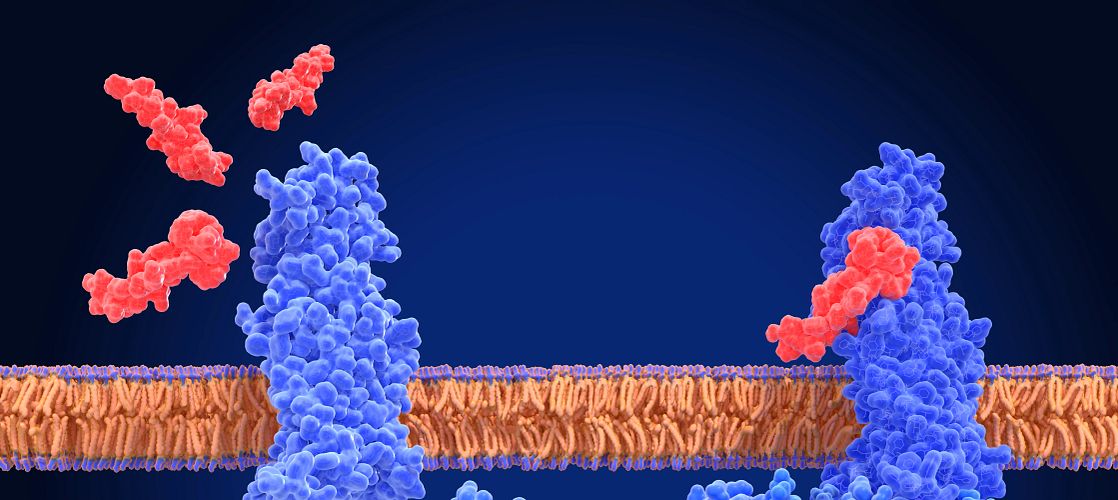 glp 1 route of administration Global GLP-1 Market Size, Forecast & Growth Industry 2035 glp 1 route of administration Global GLP-1 Market Size, Forecast & Growth Industry 2035